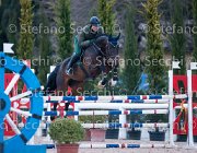 Belinda FZ Tosc Tour2013- S5 1939 : Arezzo, Belinda FZ, Cavalli d'Italia, Toscana Tour 2013, foto di Stefano Secchi ©